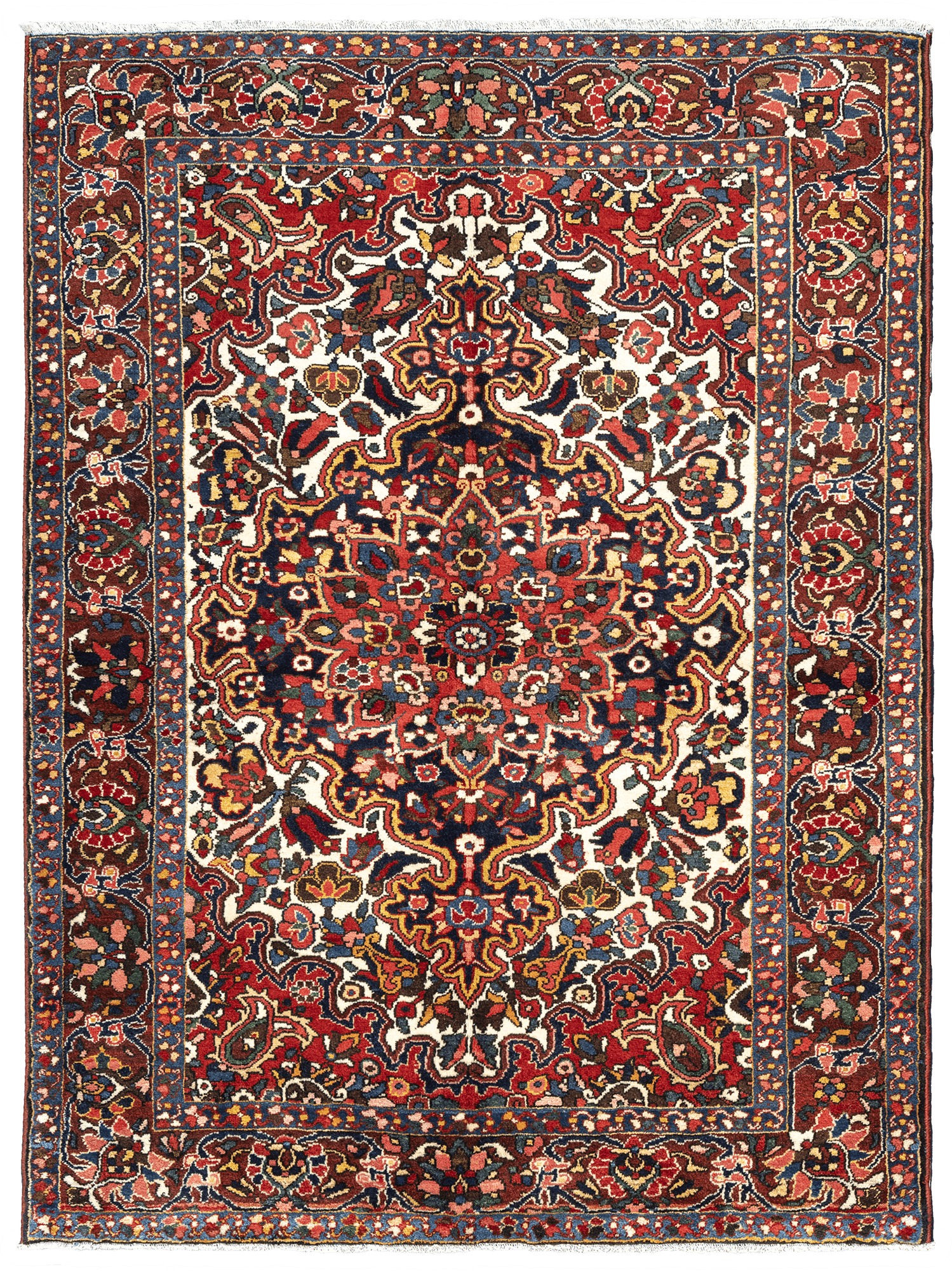 Heritage Bakhtiari Rectangle Multicolored Rug 5x7 Wool-Cotton