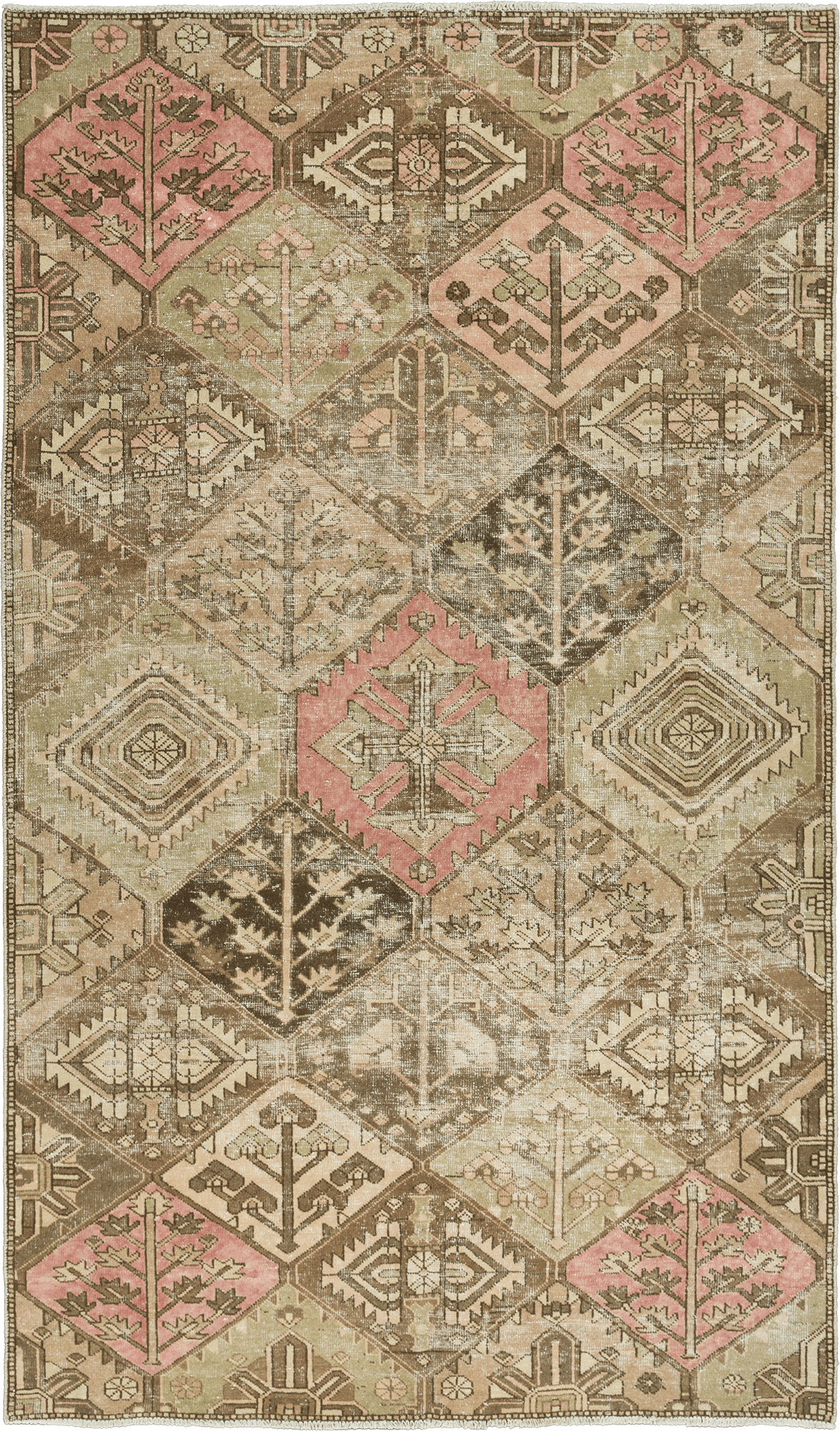 Modern Bakhtiari Rectangle Brown Rug 5x9 Wool-Cotton